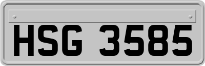 HSG3585