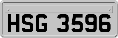 HSG3596