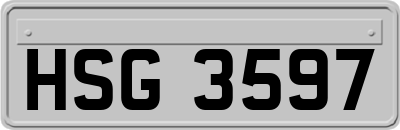 HSG3597