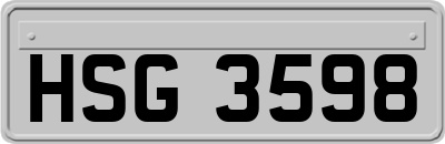 HSG3598