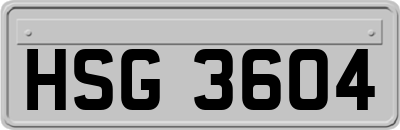 HSG3604
