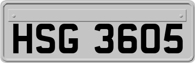 HSG3605