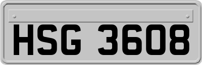 HSG3608