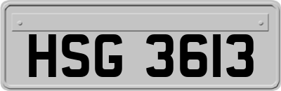 HSG3613