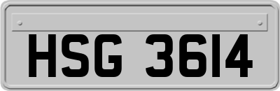 HSG3614