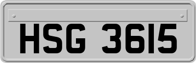 HSG3615