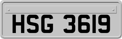 HSG3619