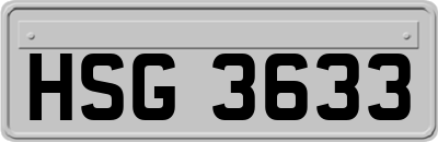 HSG3633