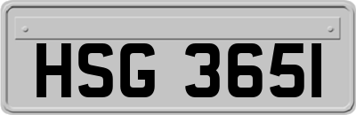 HSG3651