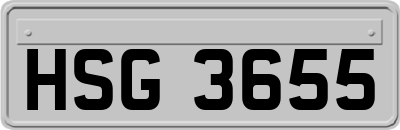 HSG3655