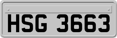 HSG3663