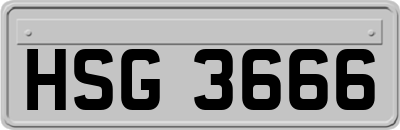 HSG3666