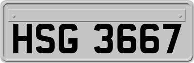 HSG3667