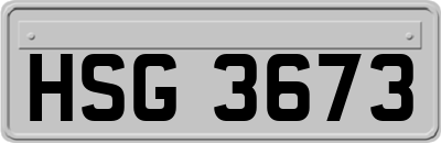 HSG3673