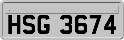 HSG3674