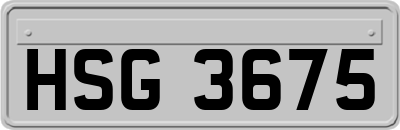 HSG3675