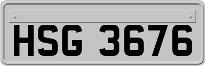 HSG3676