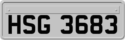 HSG3683