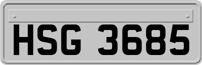 HSG3685