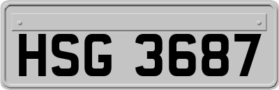 HSG3687
