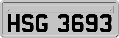 HSG3693