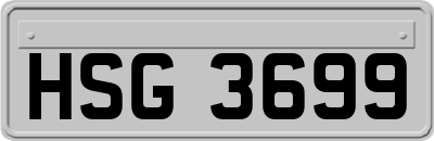 HSG3699