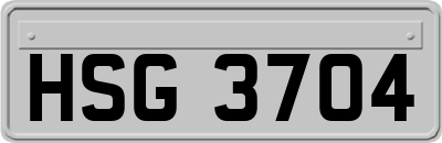 HSG3704