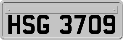 HSG3709