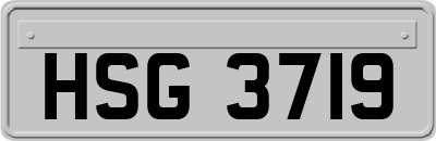 HSG3719