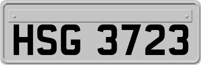 HSG3723