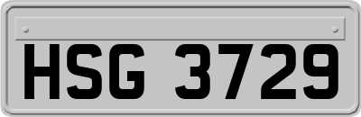 HSG3729