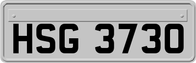 HSG3730