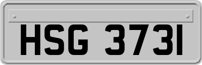 HSG3731