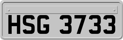 HSG3733