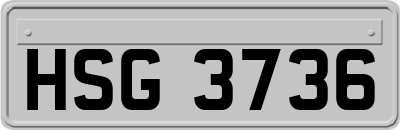 HSG3736