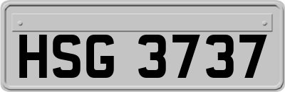 HSG3737