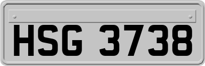 HSG3738