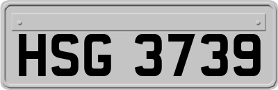 HSG3739