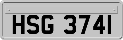 HSG3741