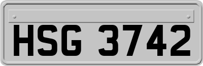 HSG3742