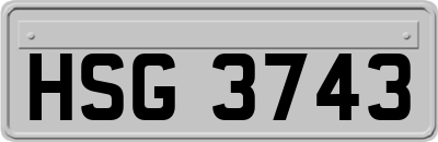 HSG3743