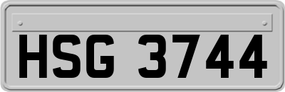 HSG3744