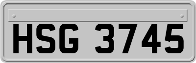 HSG3745