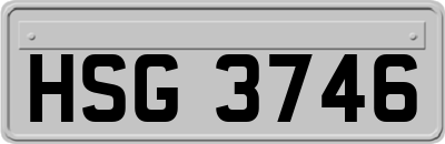 HSG3746