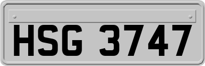 HSG3747