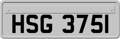HSG3751
