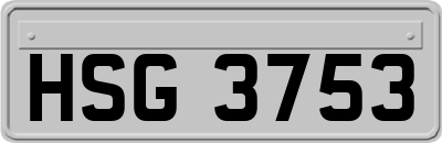 HSG3753