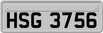 HSG3756