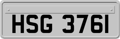 HSG3761