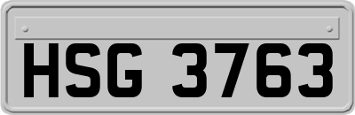 HSG3763